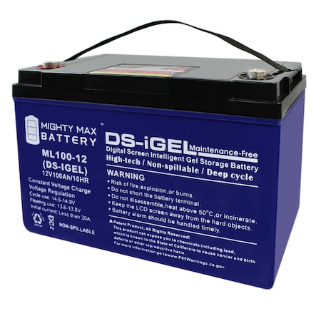 Mighty Max Battery Sealed Lead Acid Battery, 12 V, 100 AH, Internal Thread Terminal, GEL, AGM Chemistry ML100-12GEL13